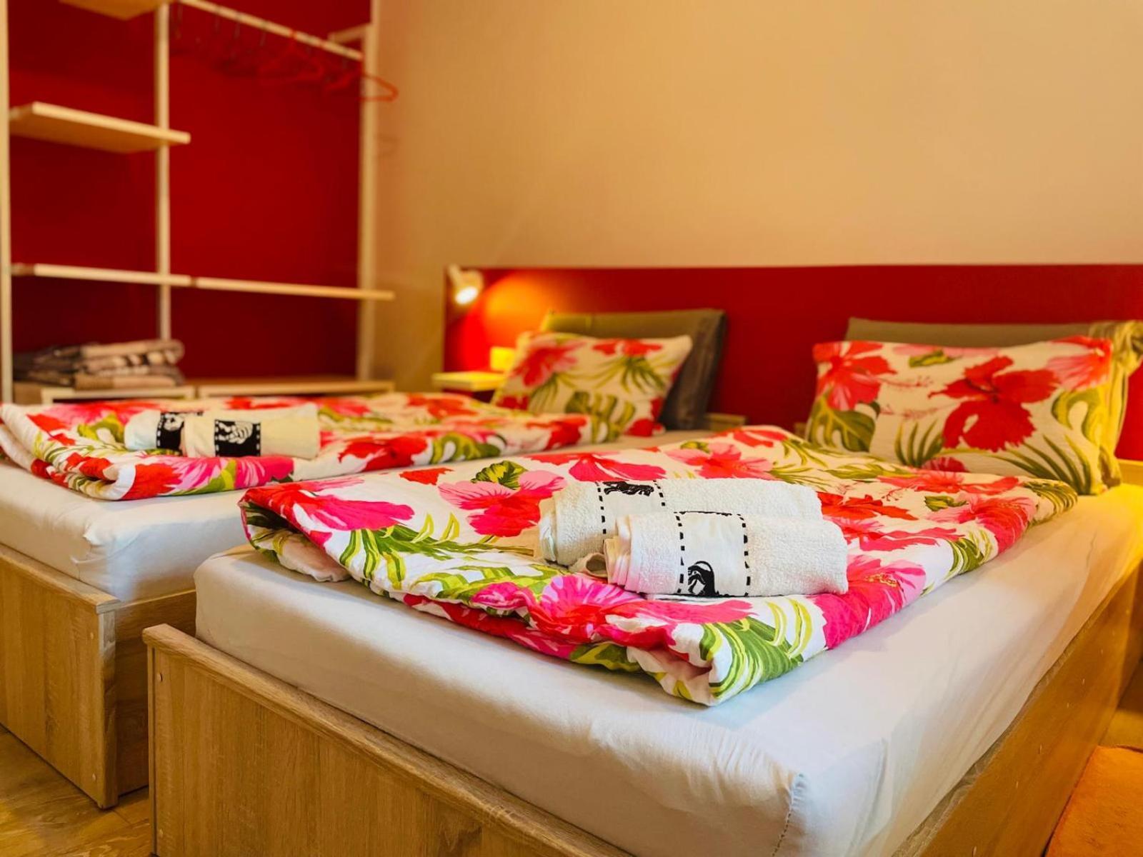 Novigrad Istria Boutique Apartment With Private Pool For Your Exclusive Use מראה חיצוני תמונה